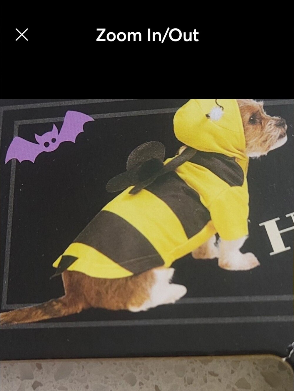 Pet Halloween Hoodie Costume XS "Bumble Bee" Brand New Black & Yellow Flower Top